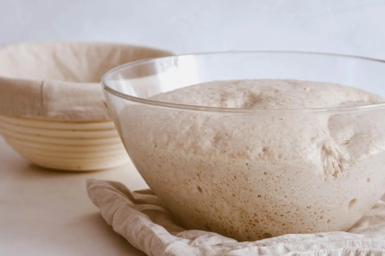 Aufgegangener Sauerteig-Vorteig mit Blasen in Glasschüssel