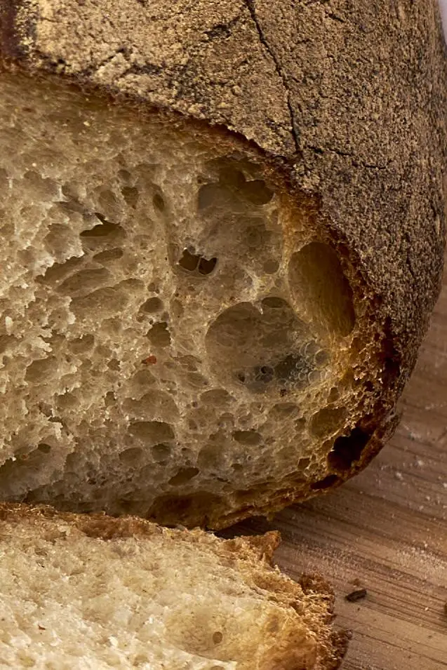 Sauerteigbrot Krume Detailaufnahme mit luftiger Porung