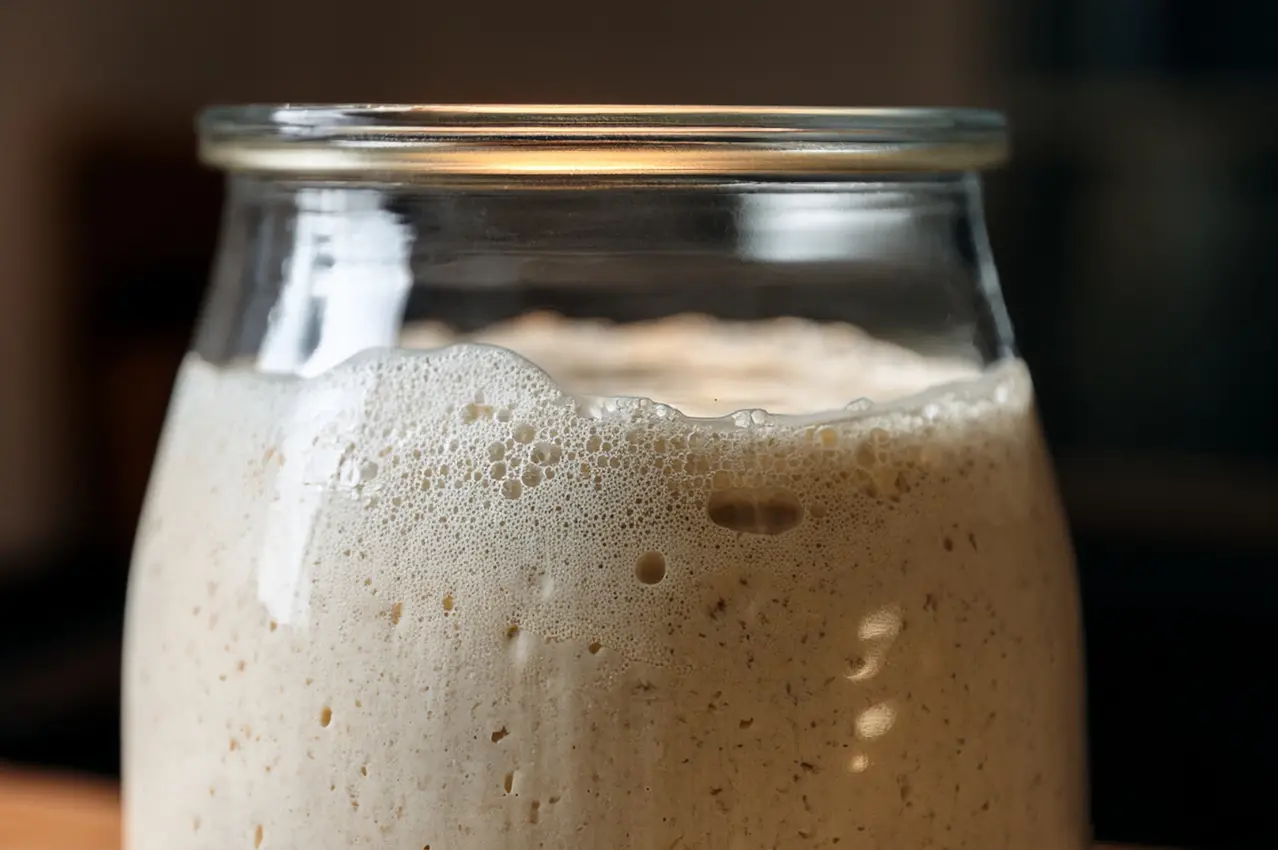 Dein Sauerteig-Starter geht nicht auf? So rettest du ihn