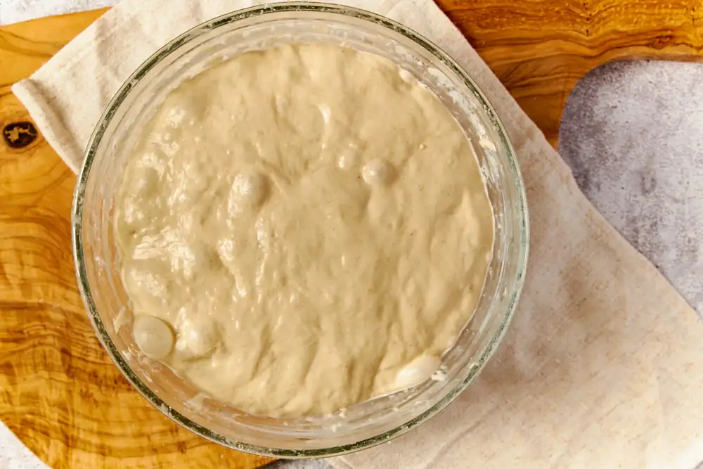 Wurzelbrot Rezept: aufgegangener Teig mit Blasen, fertig zum Formen
