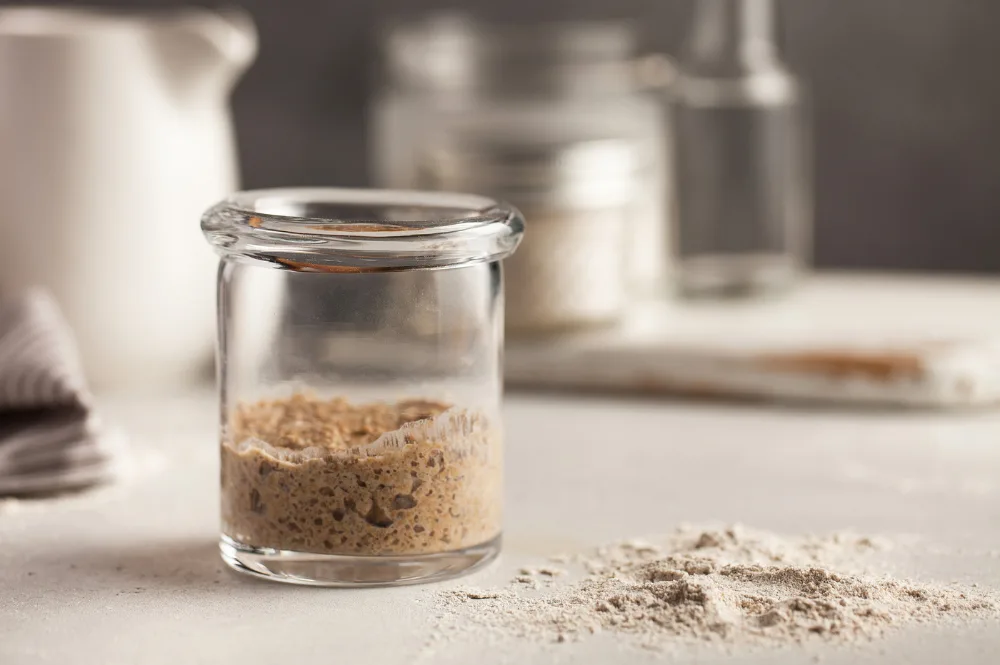 Sauerteig aufbewahren – 5 Methoden für Pause und Urlaub