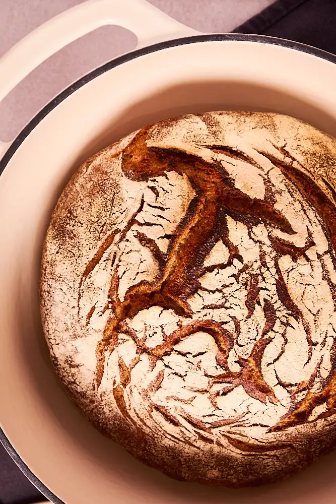 Fertig gebackenes Sauerteigbrot für Anfänger im gusseisernen Topf, rustikal aufgerissene Kruste
