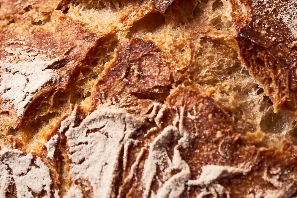 Bemehlte, rustikal aufgerissene Kruste vom Dinkel-Roggen-Brot mit Sauerteig
