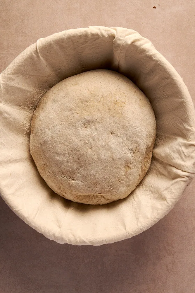 Rund gewirkter Laib im Gärkörbchen für Kartoffelbrot mit Sauerteig